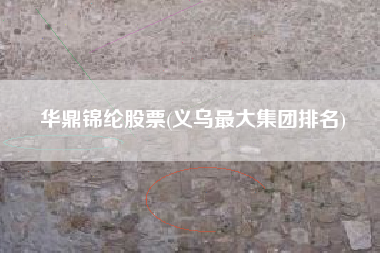 华鼎锦纶股票(义乌最大集团排名)