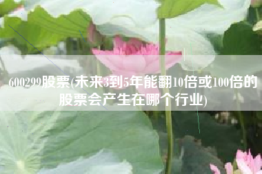 600299股票(未来3到5年能翻10倍或100倍的股票会产生在哪个行业)