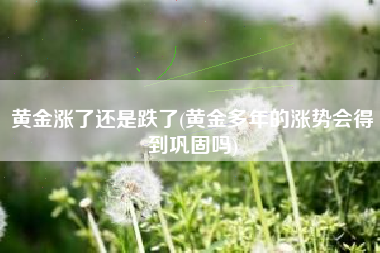 黄金涨了还是跌了(黄金多年的涨势会得到巩固吗)