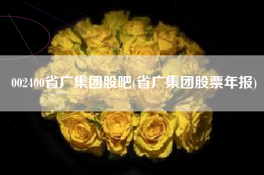 002400省广集团股吧(省广集团股票年报)