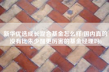 新华优选成长混合基金怎么样(国内真的没有比朱少醒更厉害的基金经理吗)