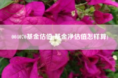 004070基金估值(基金净估值怎样算)