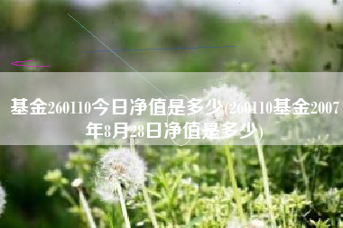 基金260110今日净值是多少(260110基金2007年8月28日净值是多少)