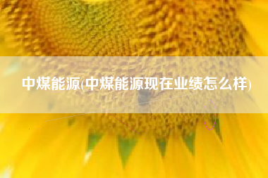 中煤能源(中煤能源现在业绩怎么样)