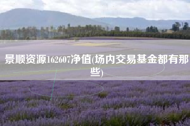 景顺资源162607净值(场内交易基金都有那些)