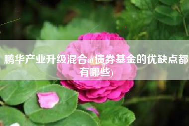 鹏华产业升级混合a(债券基金的优缺点都有哪些)