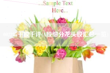 002225千股千评(A股细分龙头股汇总一览)