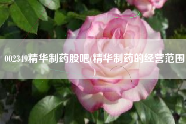 002349精华制药股吧(精华制药的经营范围)