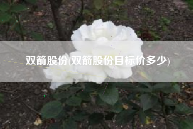 双箭股份(双箭股份目标价多少)