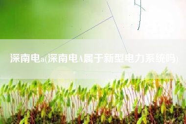 深南电a(深南电A属于新型电力系统吗)