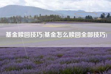 基金赎回技巧(基金怎么赎回全部技巧)