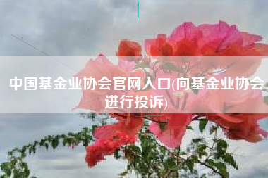 中国基金业协会官网入口(向基金业协会进行投诉)