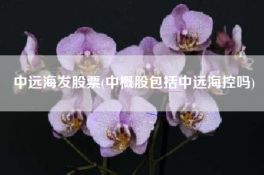 中远海发股票(中概股包括中远海控吗)