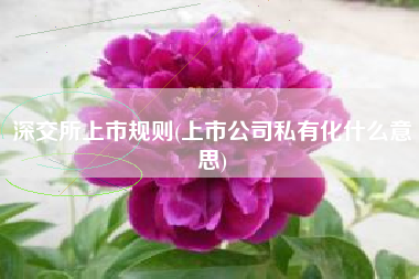 深交所上市规则(上市公司私有化什么意思)