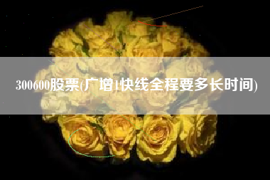 300600股票(广增1快线全程要多长时间)