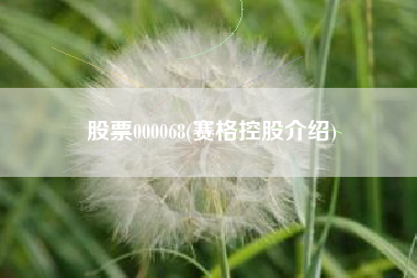 股票000068(赛格控股介绍)