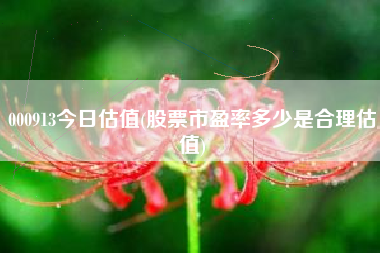 000913今日估值(股票市盈率多少是合理估值)