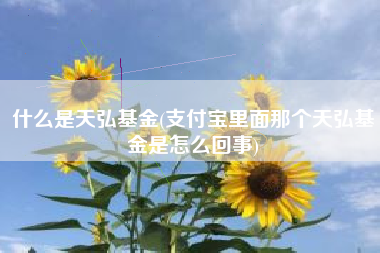 什么是天弘基金(支付宝里面那个天弘基金是怎么回事)