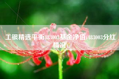 工银精选平衡483003基金净值(483003分红情况)
