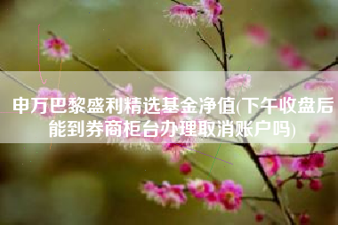 申万巴黎盛利精选基金净值(下午收盘后能到券商柜台办理取消账户吗)