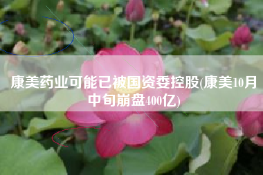 康美药业可能已被国资委控股(康美10月中旬崩盘400亿)