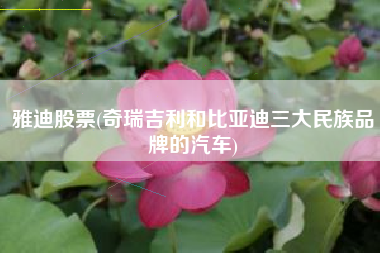 雅迪股票(奇瑞吉利和比亚迪三大民族品牌的汽车)