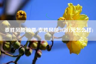 泰胜风能股票(泰胜风能10派1元怎么样)
