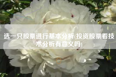 选一只股票进行基本分析(投资股票看技术分析有意义吗)