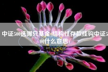 中证500选哪只基金(结构性存款挂钩中证500什么意思)