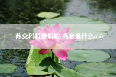 苏交科股票股吧(高金是什么ceo)