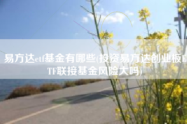 易方达etf基金有哪些(投资易方达创业板ETF联接基金风险大吗)