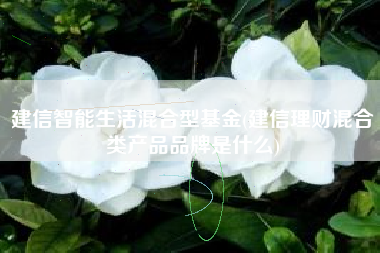 建信智能生活混合型基金(建信理财混合类产品品牌是什么)