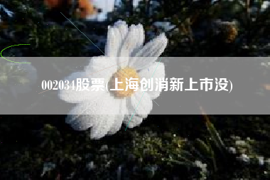 002034股票(上海创消新上市没)