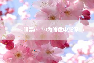 002034股票(300234为啥盘中涨停20)
