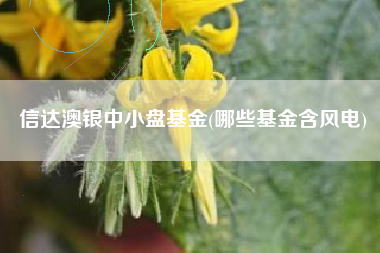 信达澳银中小盘基金(哪些基金含风电)