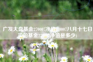 广发大盘基金270007净值(20007八月十七日买的基金270007净值是多少)