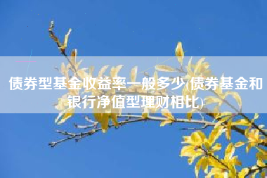债券型基金收益率一般多少(债券基金和银行净值型理财相比)