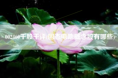 002460千股千评(固态电池概念股有哪些)