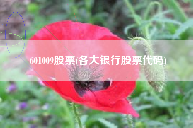 601009股票(各大银行股票代码)