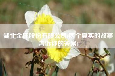 湖北金环股份有限公司(两个真实的故事告诉你的答案)