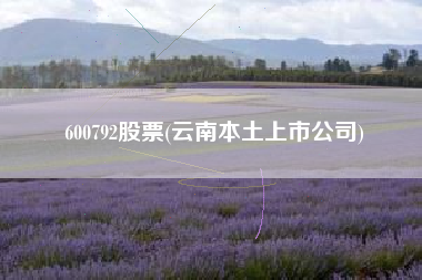 600792股票(云南本土上市公司)