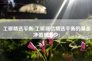 工银精选平衡(工银瑞信精选平衡的基金净值是多少)