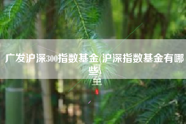 广发沪深300指数基金(沪深指数基金有哪些)