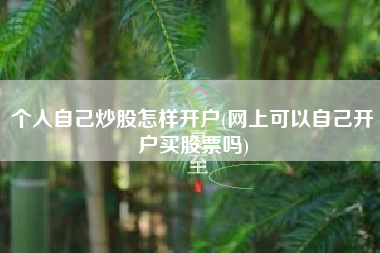 个人自己炒股怎样开户(网上可以自己开户买股票吗)