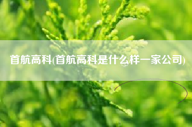 首航高科(首航高科是什么样一家公司)