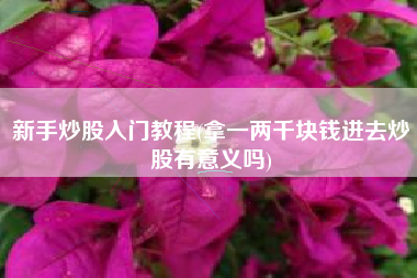新手炒股入门教程(拿一两千块钱进去炒股有意义吗)