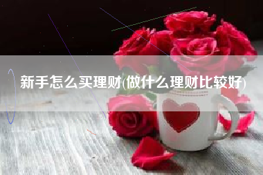 新手怎么买理财(做什么理财比较好)