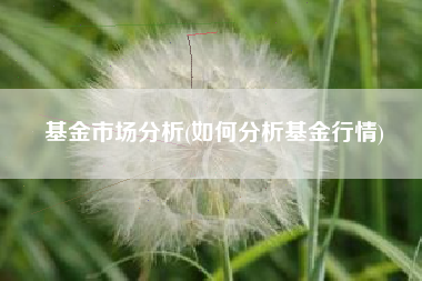基金市场分析(如何分析基金行情)
