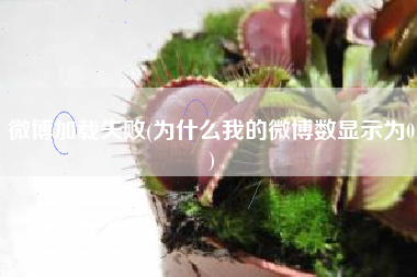 微博加载失败(为什么我的微博数显示为0)