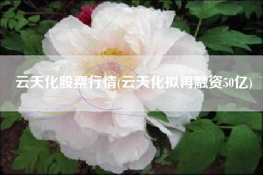 云天化股票行情(云天化拟再融资50亿)